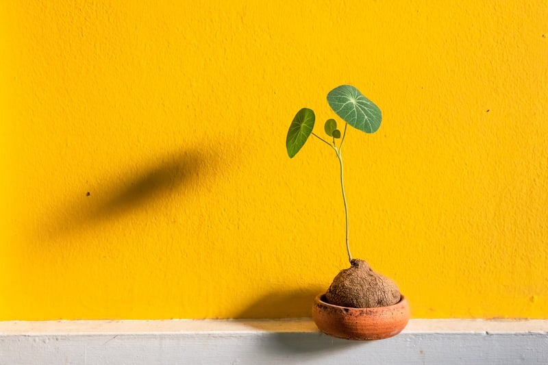 Recycled planters