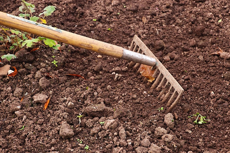 Garden Rake
